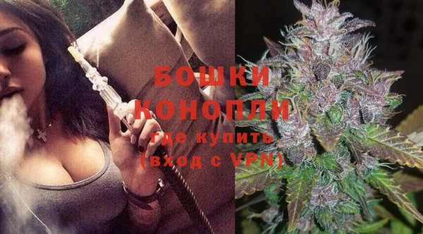 стаф Ладушкин