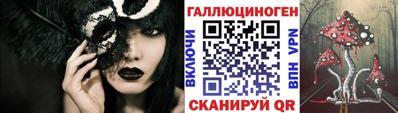 Псилоцибиновые грибы Psilocybine cubensis  Купить где  Благовещенск 